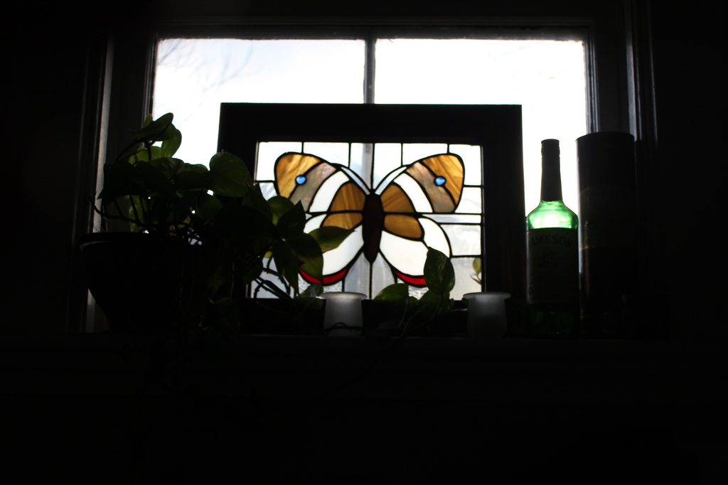 butterfly silhouette by summerfield