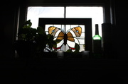 15th Apr 2013 - butterfly silhouette