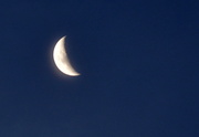 16th Apr 2013 - Early Moon