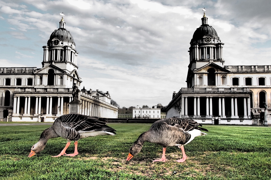 A Gander at Greenwich by andycoleborn