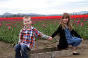 17th Apr 2013 - Tulip Fields
