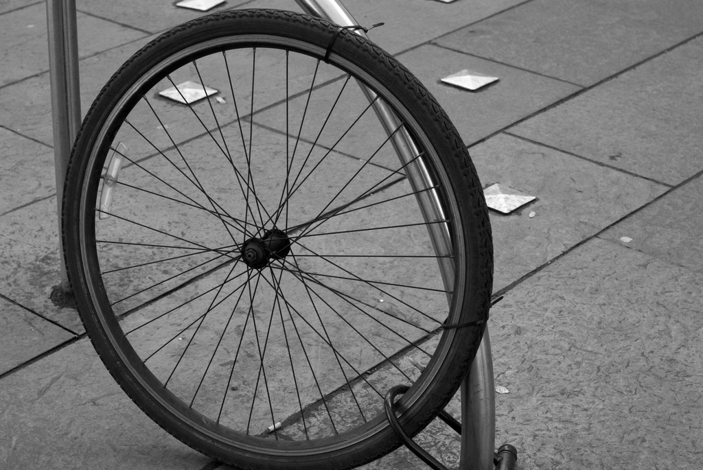Wheel by tracybeautychick