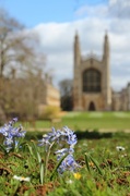 18th Apr 2013 - Spring comes to King's