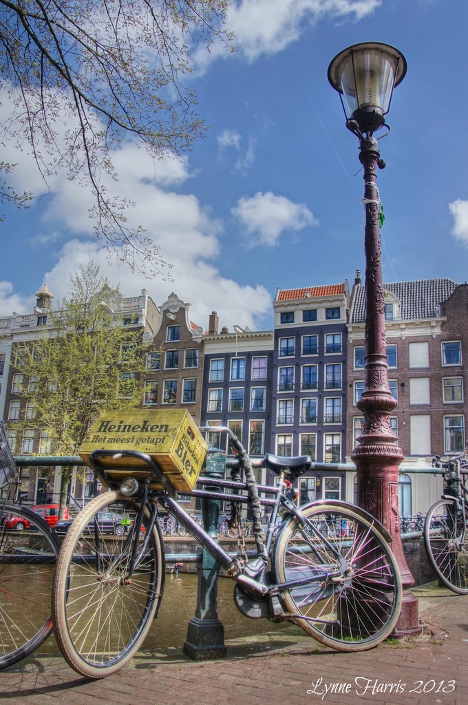Amsterdam, Bicycles, and Heineken by lynne5477