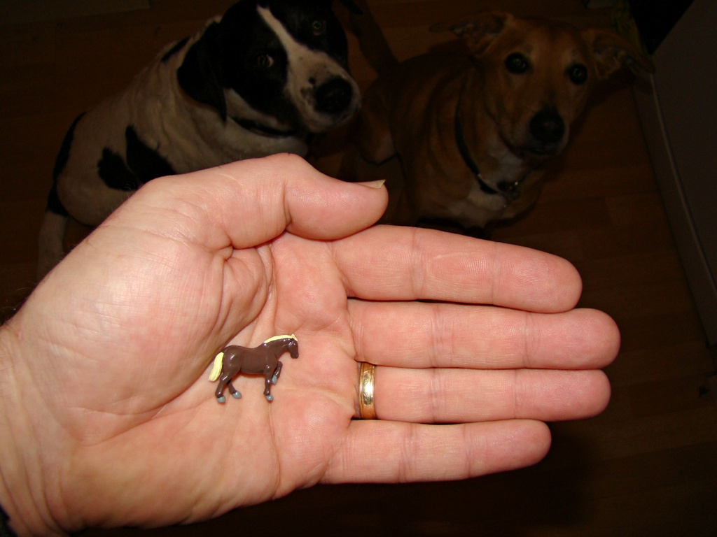 Apr 18: Hand by bulldog