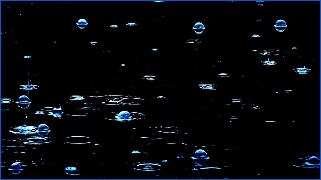 Rain Bubbles by juliedduncan