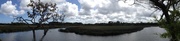 18th Apr 2013 - Charles Towne Landing marsh scene panorama
