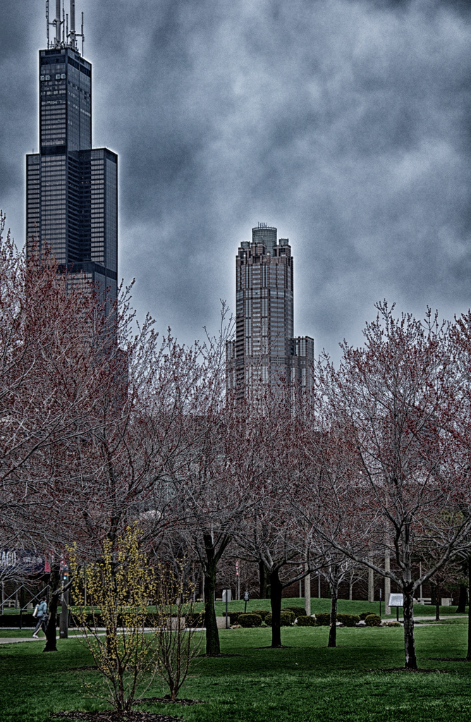 Signs of a Chicago Spring by taffy