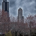 Signs of a Chicago Spring by taffy