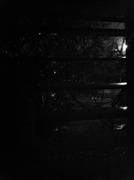 20th Apr 2013 - 5am, raining, noir suburbia 