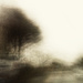 slow shutter trees by ingrid2101