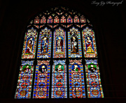 20th Apr 2013 - Stained Glass