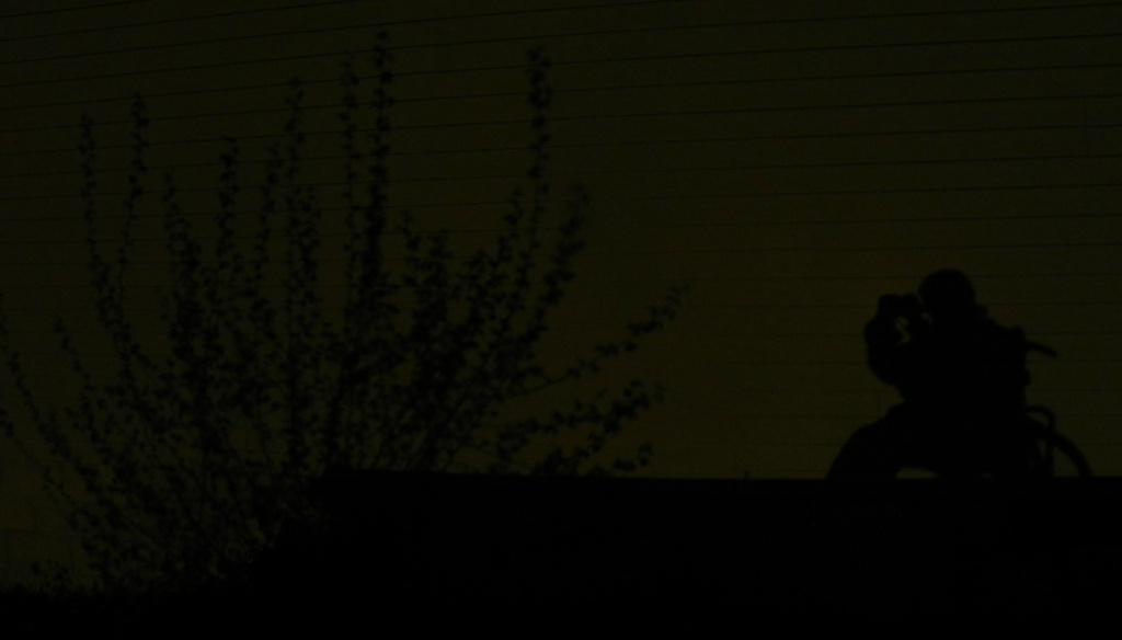 Shadow of Me  by mej2011