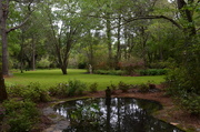 20th Apr 2013 - Magnolia Gardens, Charleston, SC 