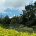 Marwood Hill Gardens by rosbush