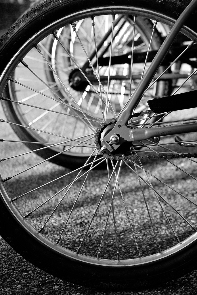I Wheelie MisSpoke by alophoto