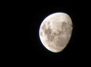 21st Apr 2013 - April Moon