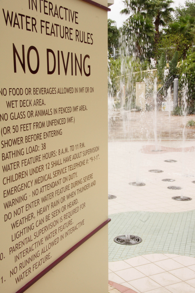 What? No Diving in the water feature? by danette