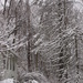 One Last Snow by photogypsy