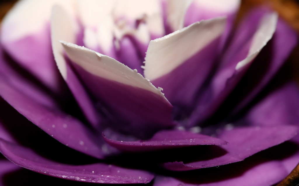 Soaply Purple by susale