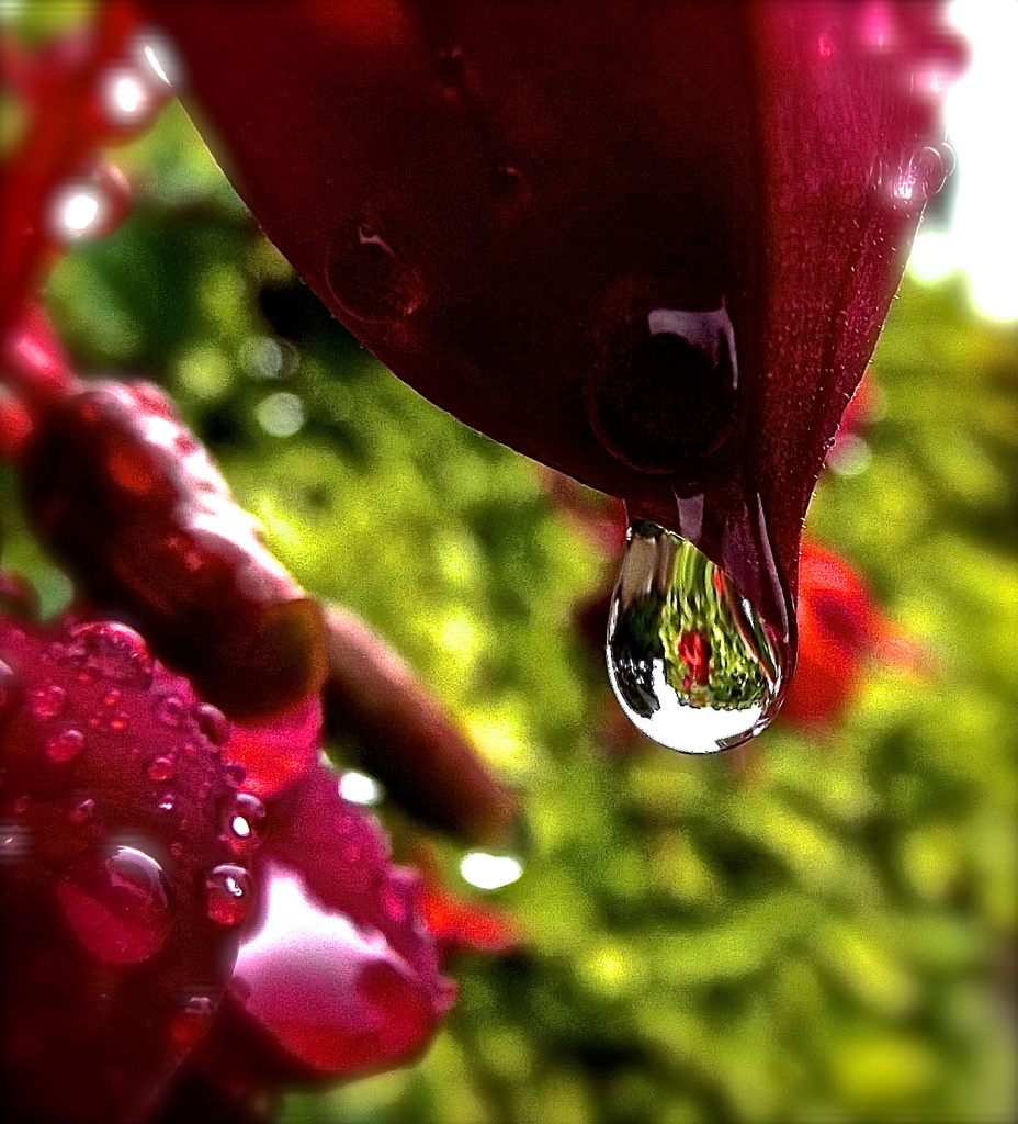 My raindrop by maggiemae