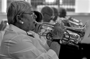 23rd Apr 2013 - A Cacophony of Cornets