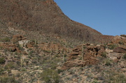 23rd Apr 2013 - The Desert... Sonoran Style