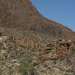 The Desert... Sonoran Style by kerristephens