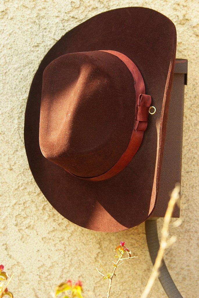(Day 69) - Rusty Cowboy Hat  by cjphoto