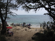 12th Apr 2013 - At the North Shore watching surfers