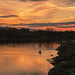 boddington sunset with swan by jantan