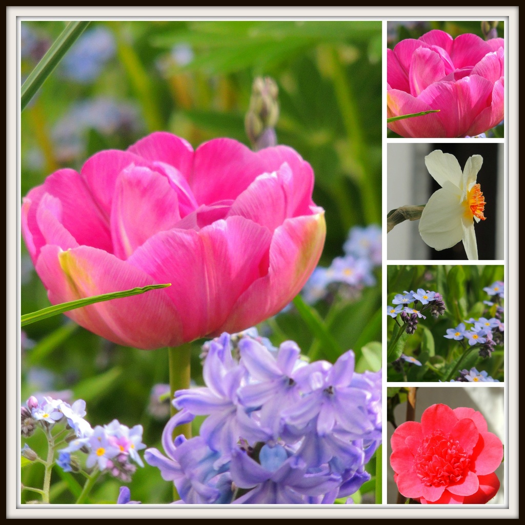 Spring Flowers again by rosiekind