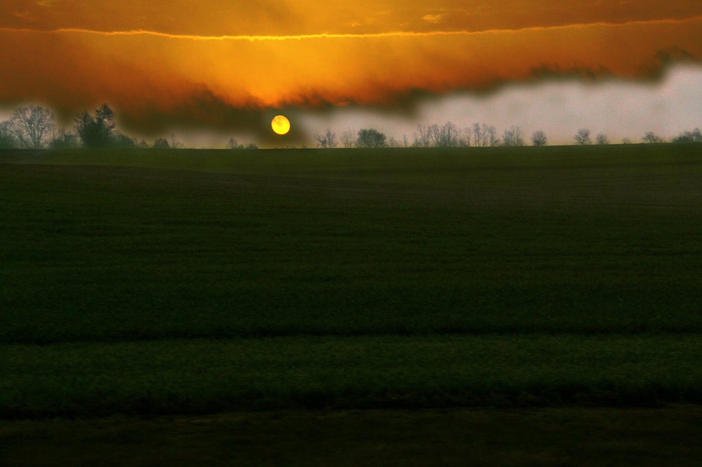 Morning Sun And Fog by digitalrn