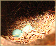 24th Apr 2013 - New Tenants