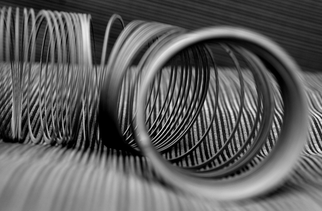(Day 70) - Grey Days for Slinky by cjphoto