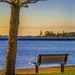 The empty seat by corymbia