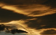 25th Apr 2013 - Stratocumulus undulatus cloud