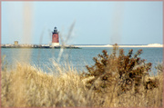 24th Apr 2013 - Lighthouse through the Grass