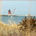 Lighthouse through the Grass by hjbenson
