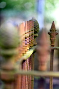25th Apr 2013 - Railings at St. Albans Cathedral