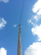 24th Apr 2013 - Pole