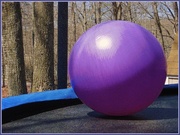 25th Apr 2013 - Big Purple Ball