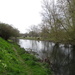 River Nadder Salisbury week 16 25-4 by barrowlane