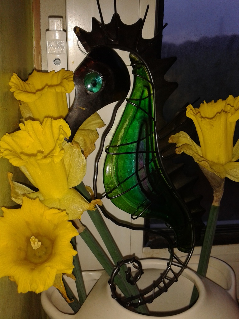 #119 Seahorse with daffodils Back lit by denidouble