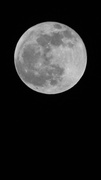 25th Apr 2013 - We Are Looking Up At the Same Moon