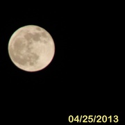25th Apr 2013 - Moon over backyard