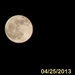 Moon over backyard by pfaith7