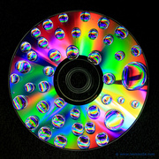 26th Apr 2013 - CD Drops