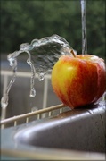 26th Apr 2013 - Wash Your Fruit