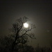 Moonlight profile by padlock
